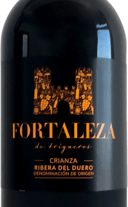 Thesaurus Fortaleza de Trigueros Tempranillo Ribera del Duero Crianza 75 cl. bon plan