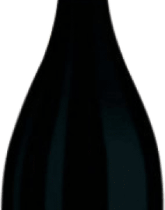 Iniesta Corazón Spumante Blanco Manchuela 75 cl. spécial