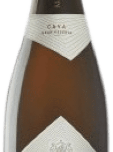 MasTinell Real Brut Cava Grande Réserve Bouteille Magnum 1,5 L. meilleure offre