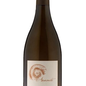 Vignoble Alain Robert – Vouvray Blanc Sec Ammonite – 2023 meilleure offre